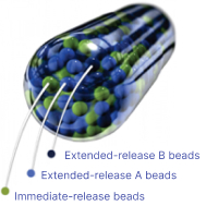 Trokendi XR® Microtrol® technology has extended-release B beads, extended-release A beads and immediate-release beads